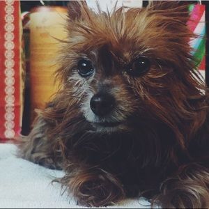 THANK YOU ALL FOR CHECKING MY CLOSET!